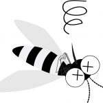 蚊を撃退する効果抜群の7つの方法！破裂するって本当？